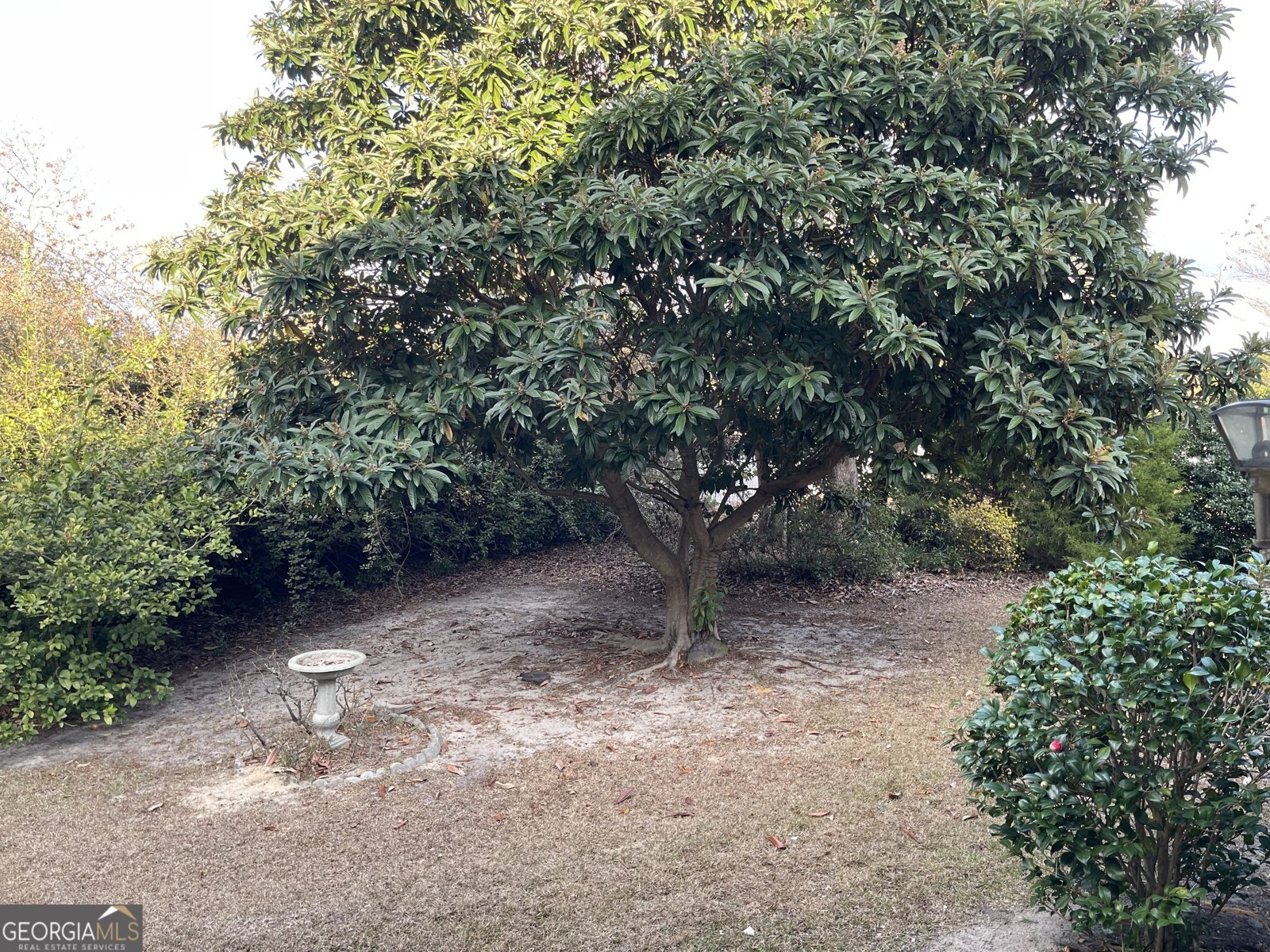 137 Blue Ridge Drive Statesboro - Photo 24