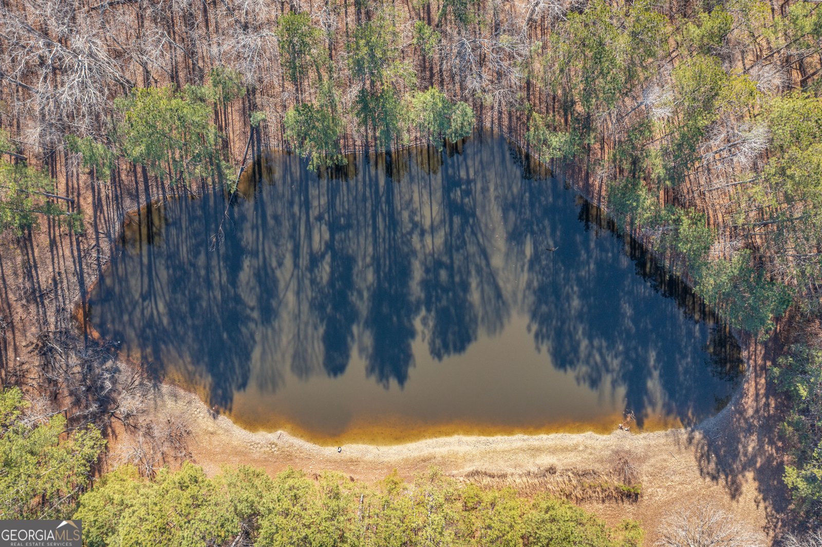 176 Corley Place Dallas - Photo 16