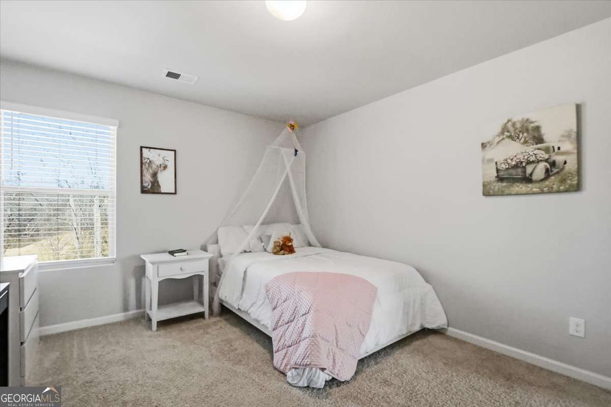 2051 Massey Lane Winder - Photo 30