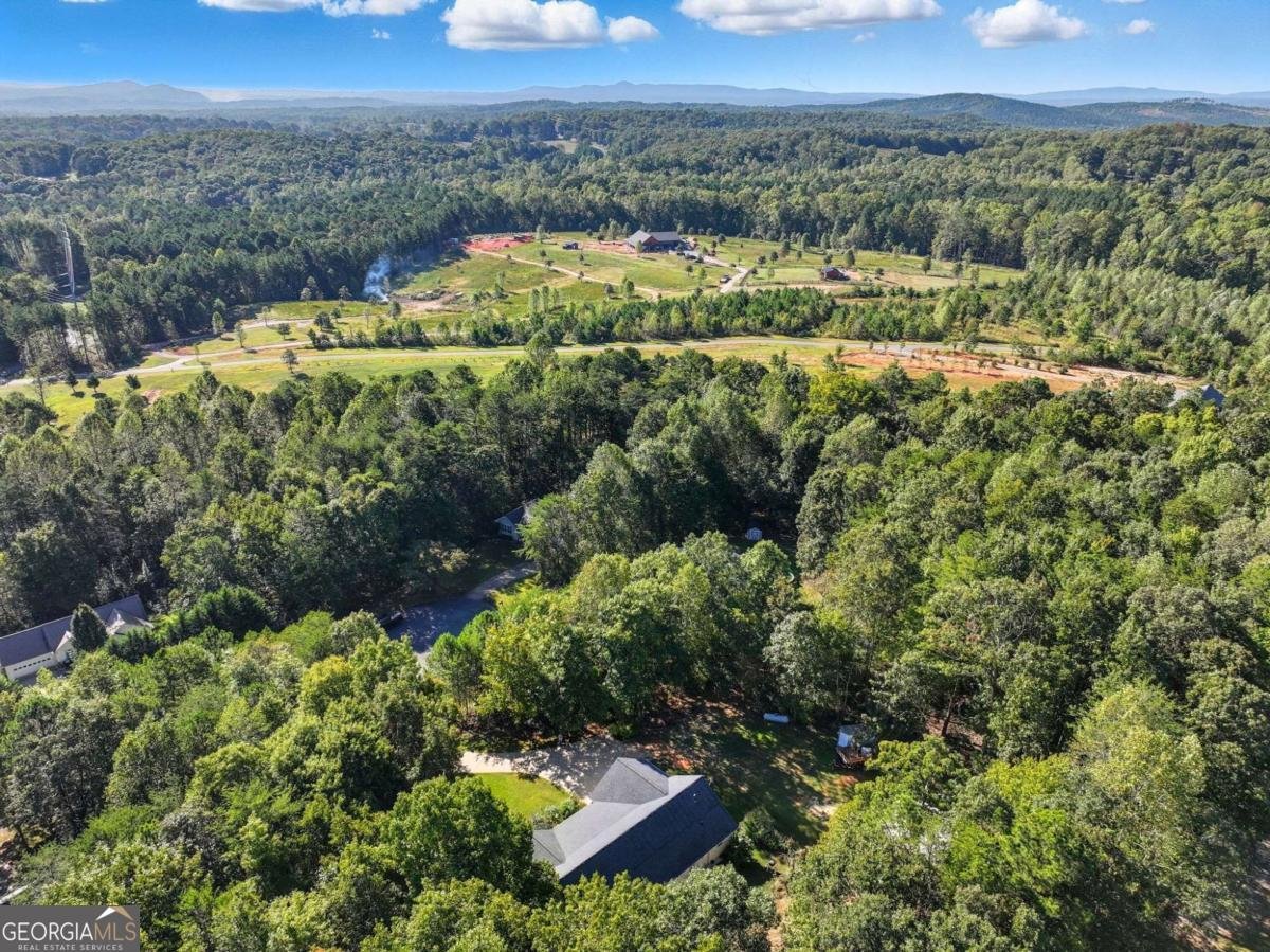 82 Orman Drive Ellijay - Photo 9