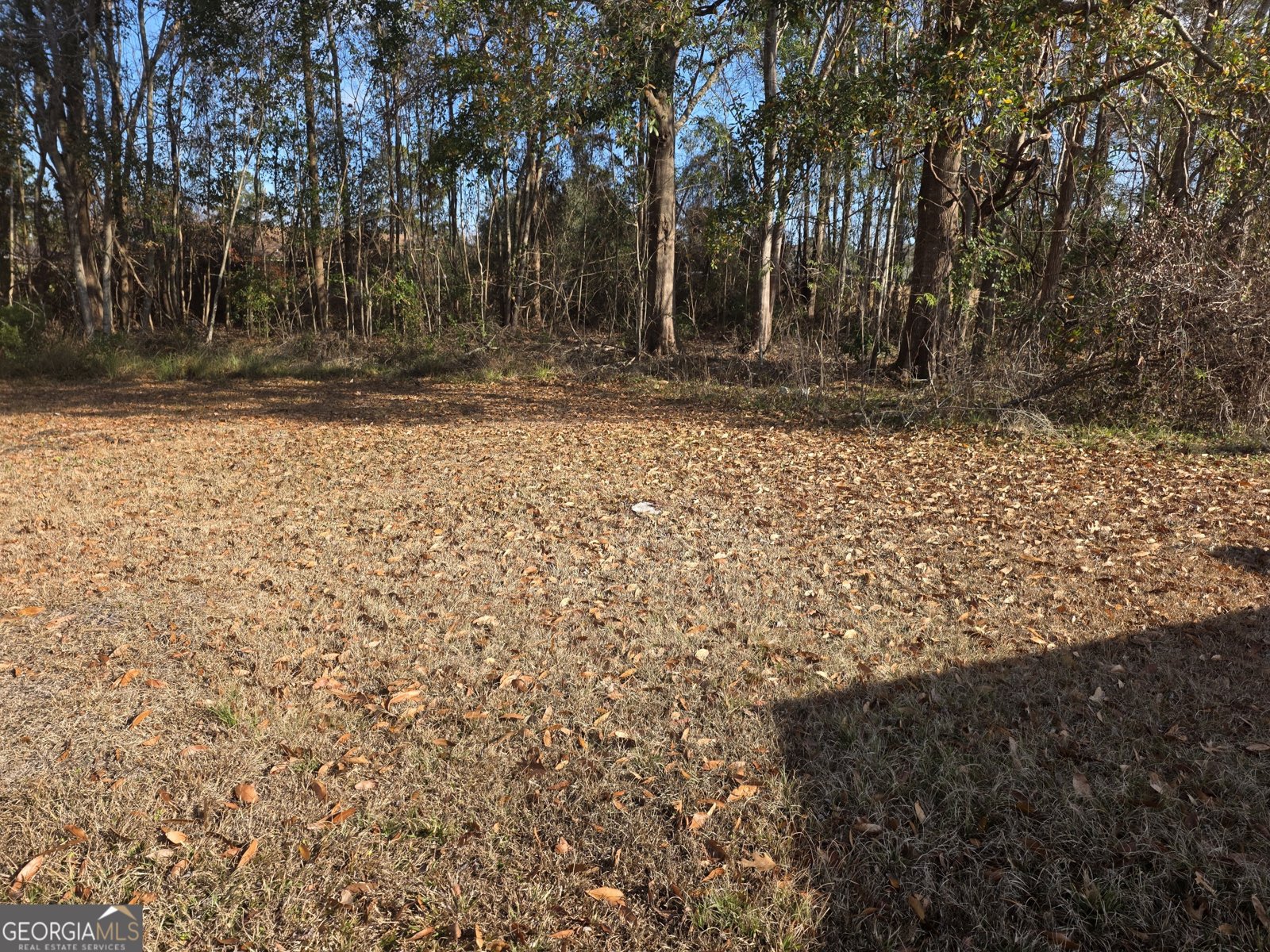 35 Red Fox Court Midway - Photo 6