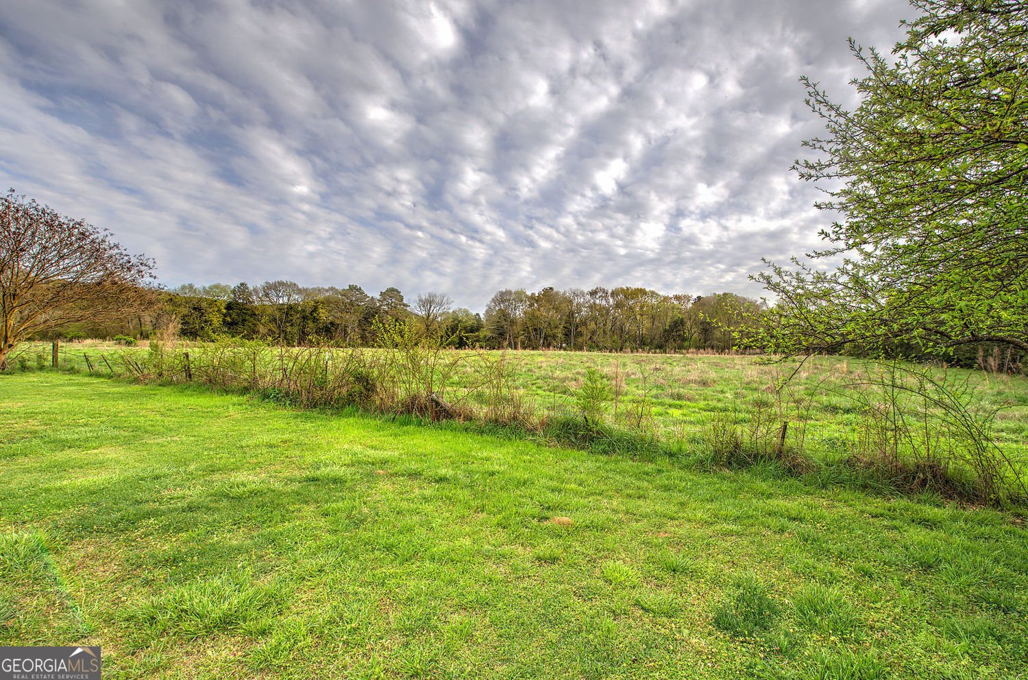 990 Taylorsville Road Aragon - Photo 38