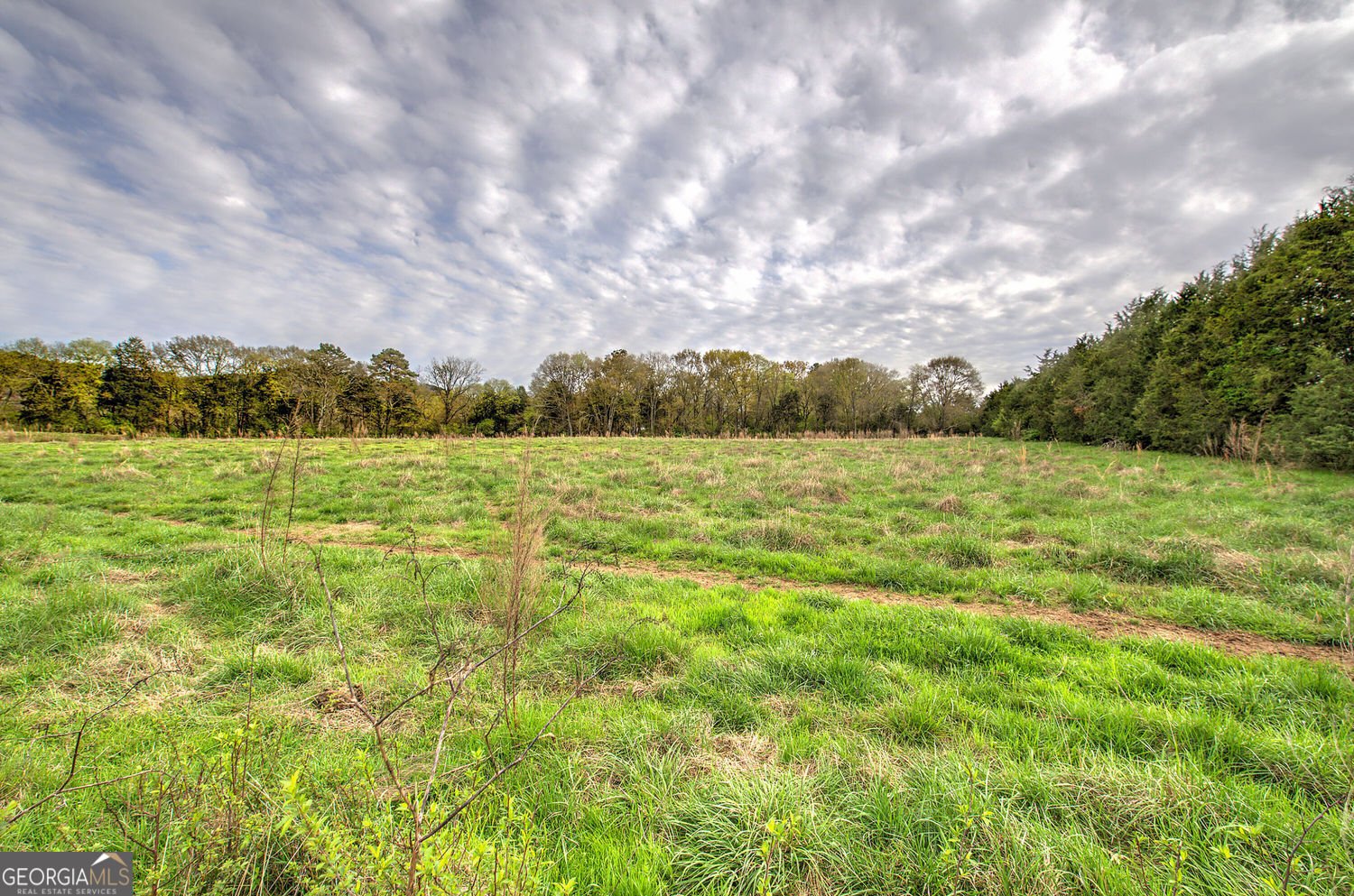 990 Taylorsville Road Aragon - Photo 39