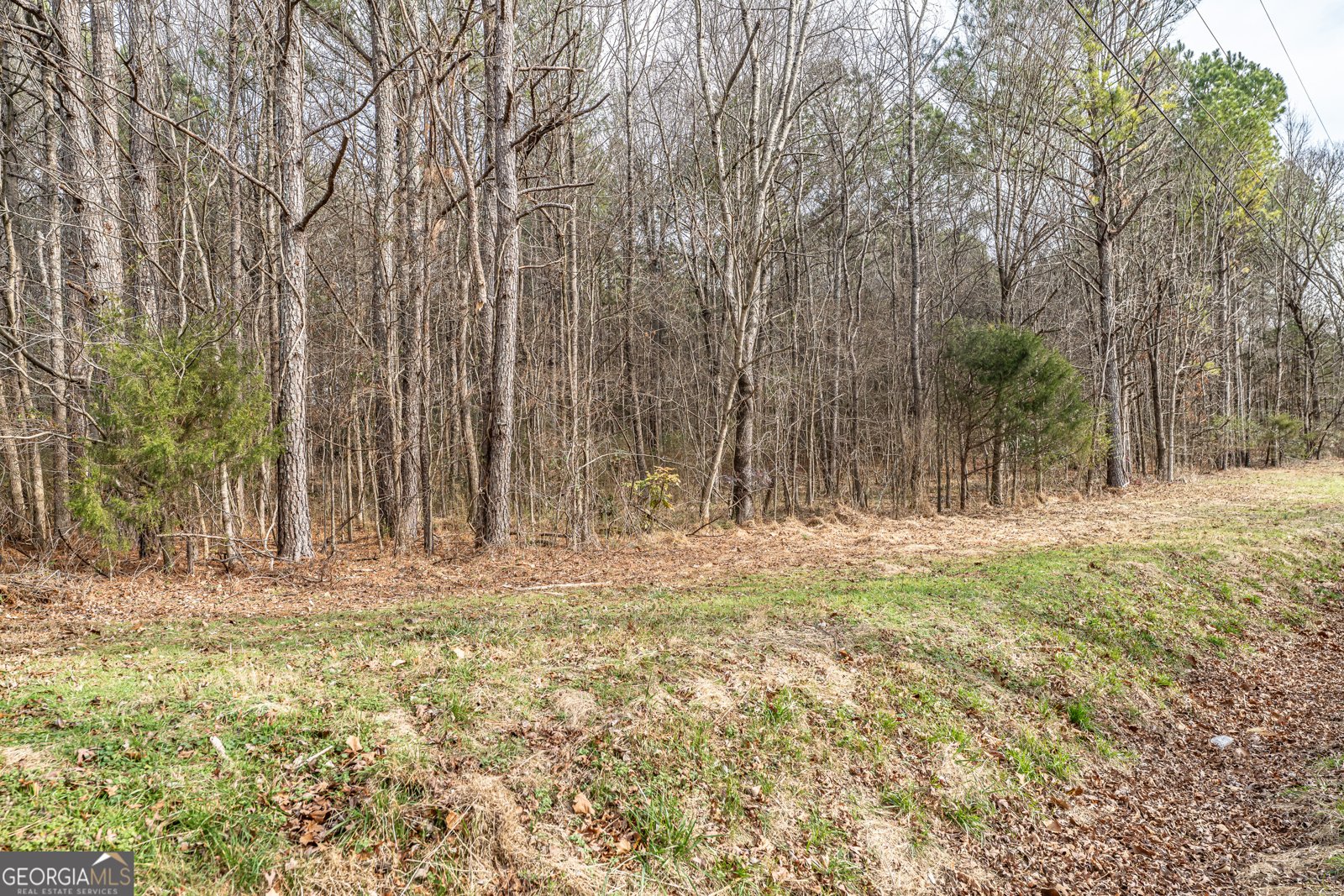 137 New Hermitage Road Rome - Photo 17