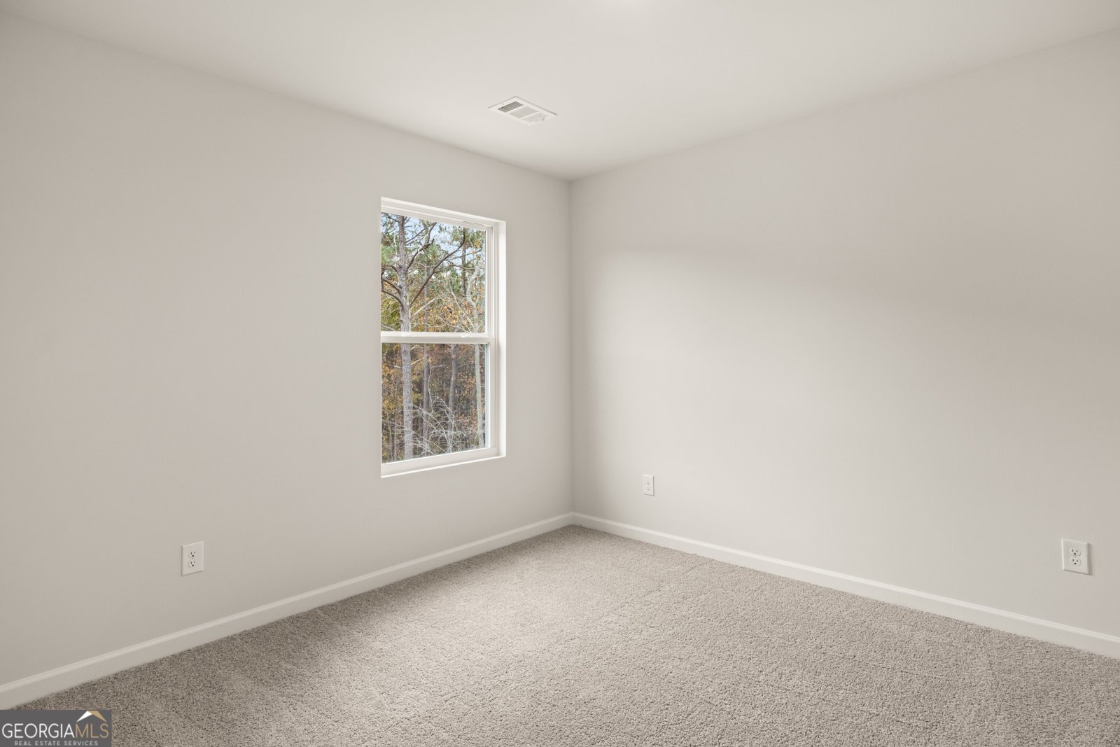 4428 Manor Hill Drive Union City - Photo 22