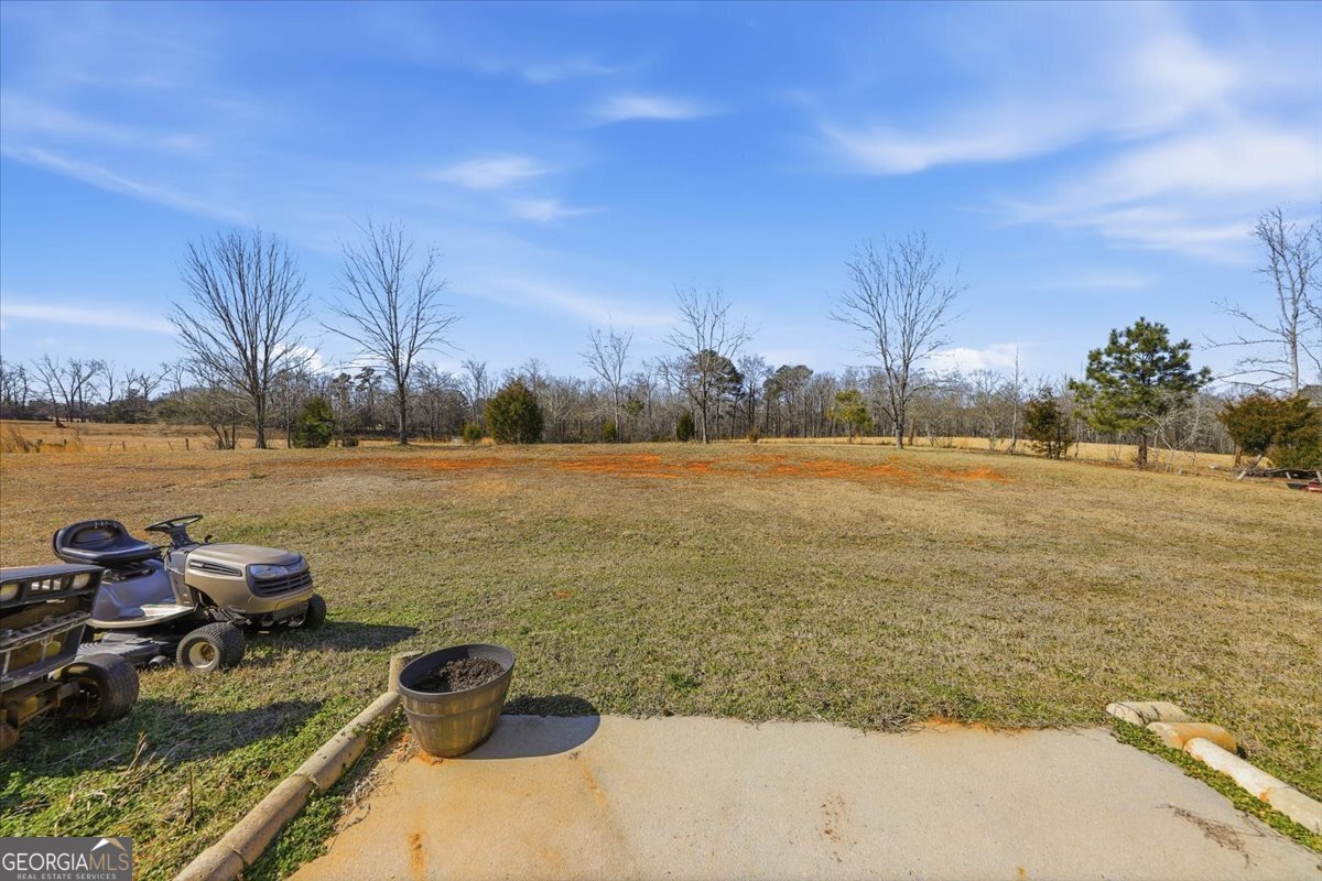 133 Carols Lane Locust Grove - Photo 29