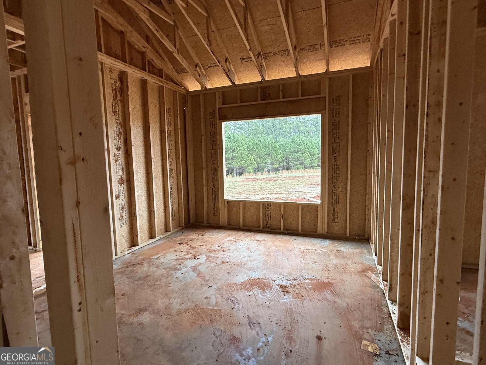 LOT 1 Reidsboro Road Williamson - Photo 14