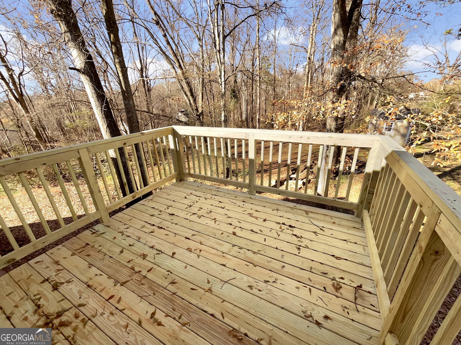 4150 Pine View Drive Gillsville - Photo 18