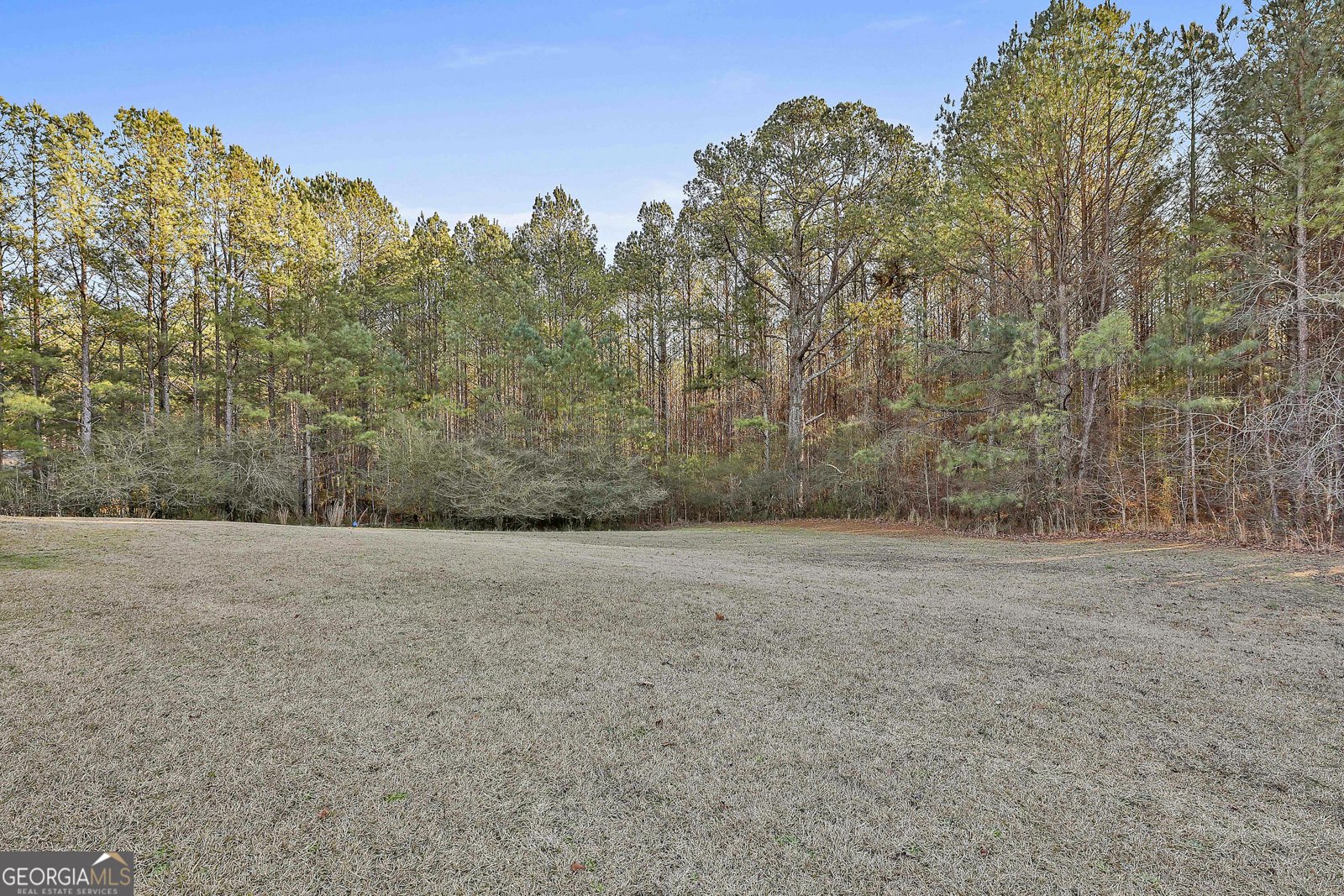 450 McKoy Road Newnan - Photo 28
