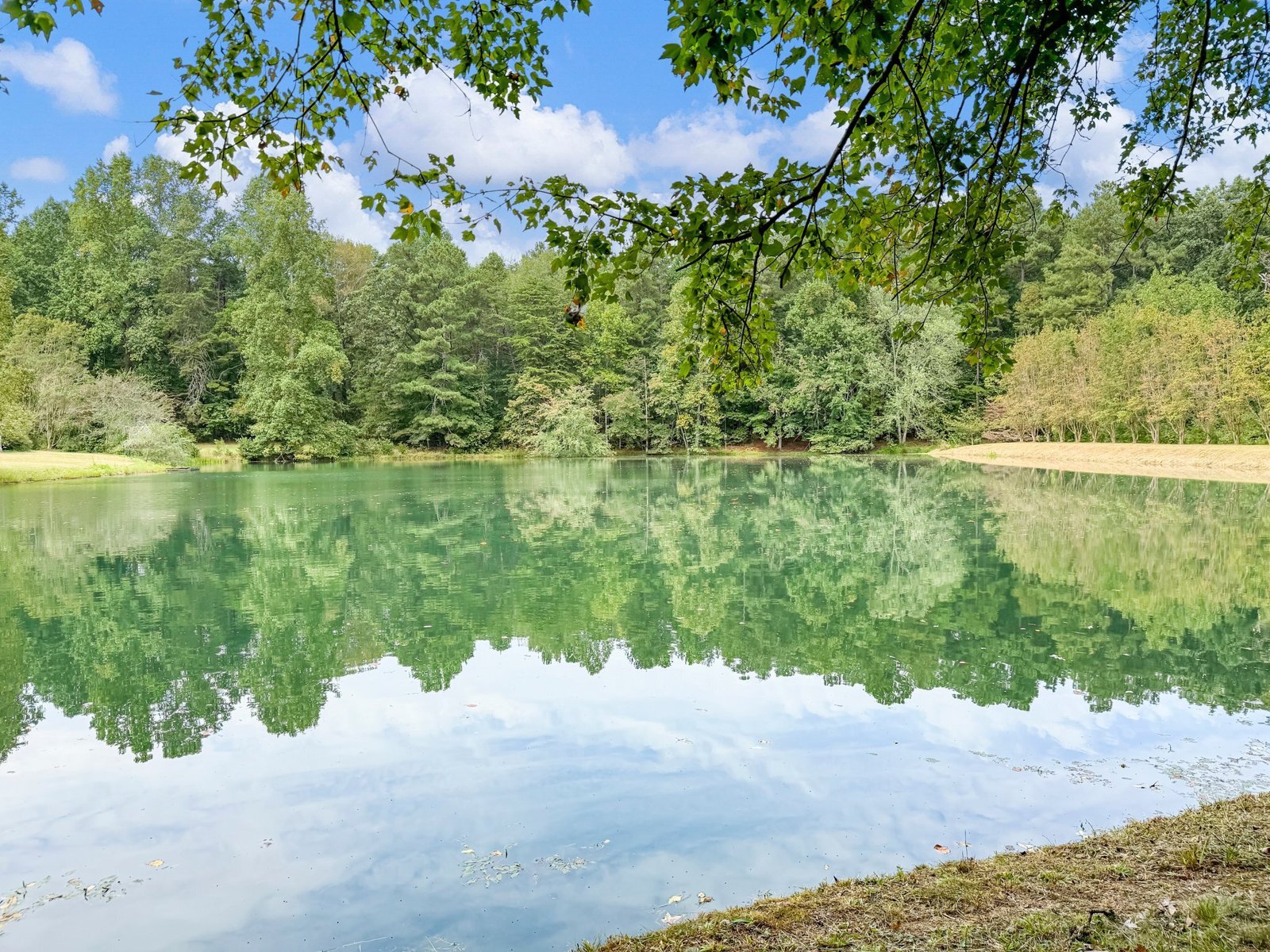 4394 Holly Springs Road Pendergrass - Photo 77