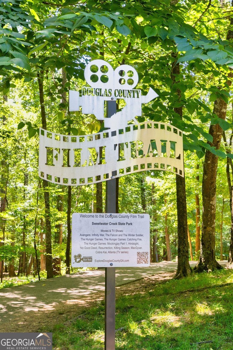 2813 Lillian Lane Douglasville - Photo 44