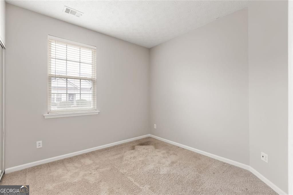 116 Swanee Lane Woodstock - Photo 19