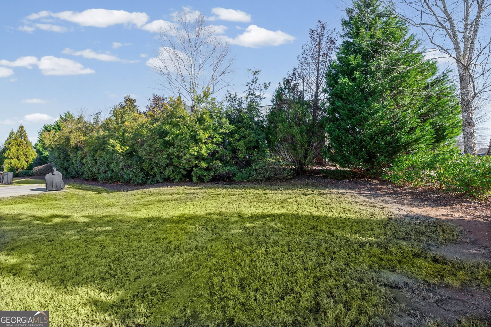 621 Larch Looper Drive Griffin - Photo 30