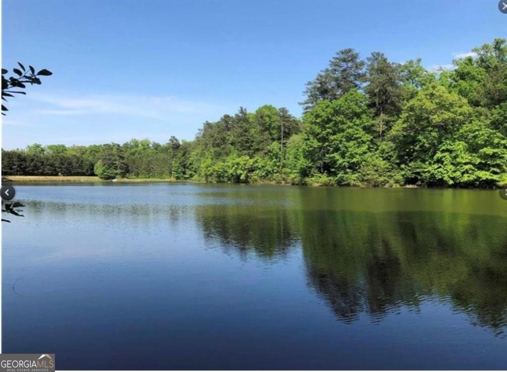 5805 Vinings Retreat Court Mableton - Photo 23