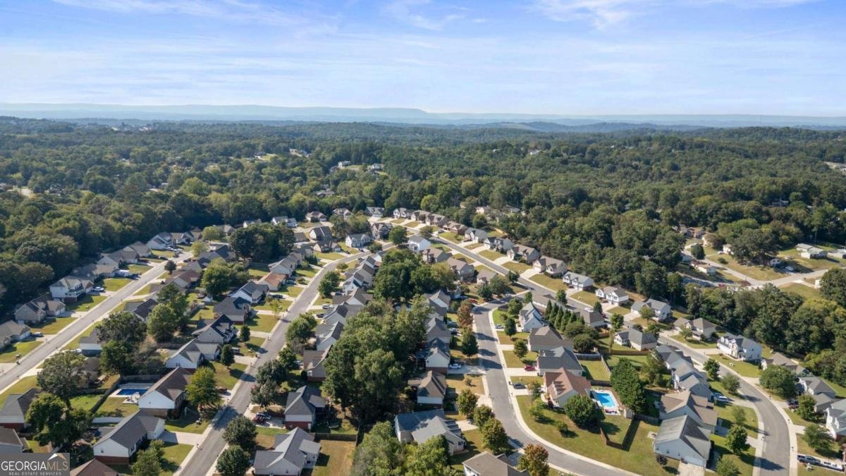 184 Peachtree Circle Ringgold - Photo 29