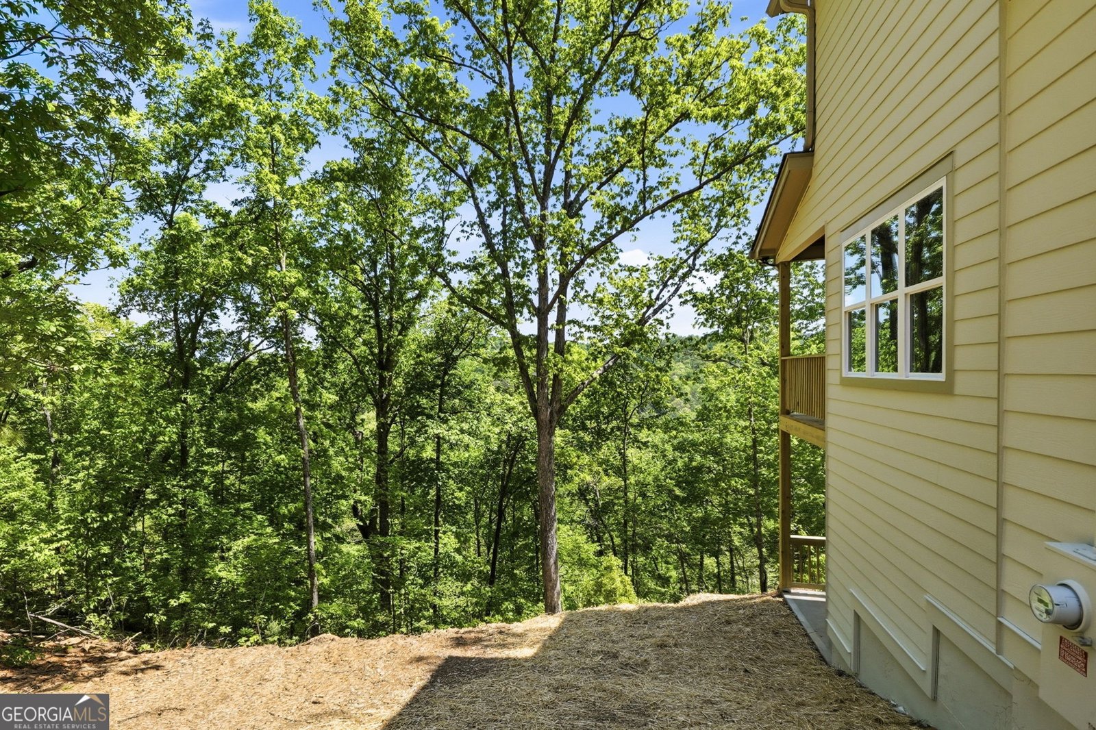 1600 Dover Drive Ranger - Photo 42