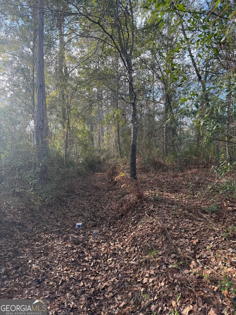 1180 Farm Road St. George - Photo 7