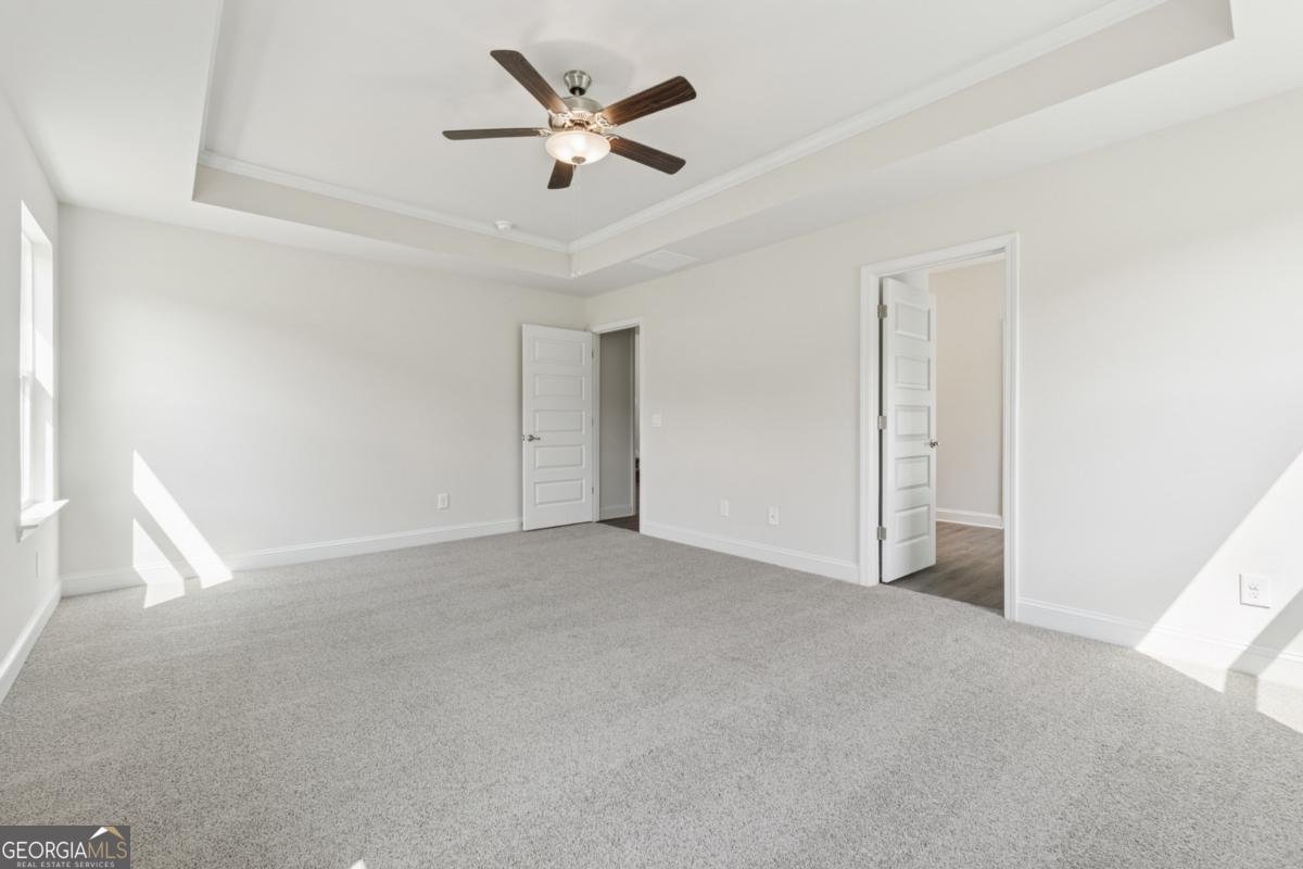 263 Eason Street Bowdon - Photo 11