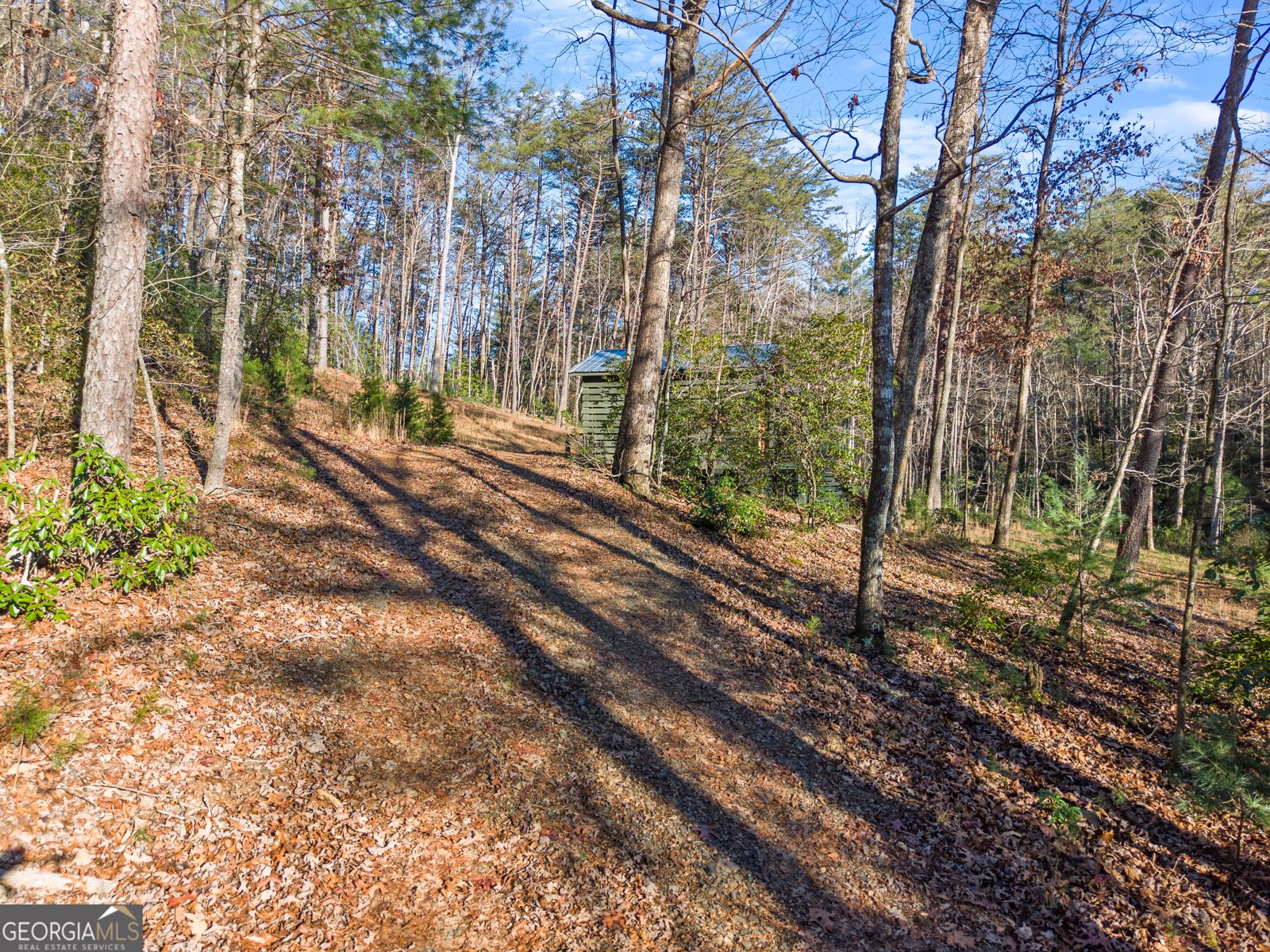 121 Waterfalls Way Clarkesville - Photo 11