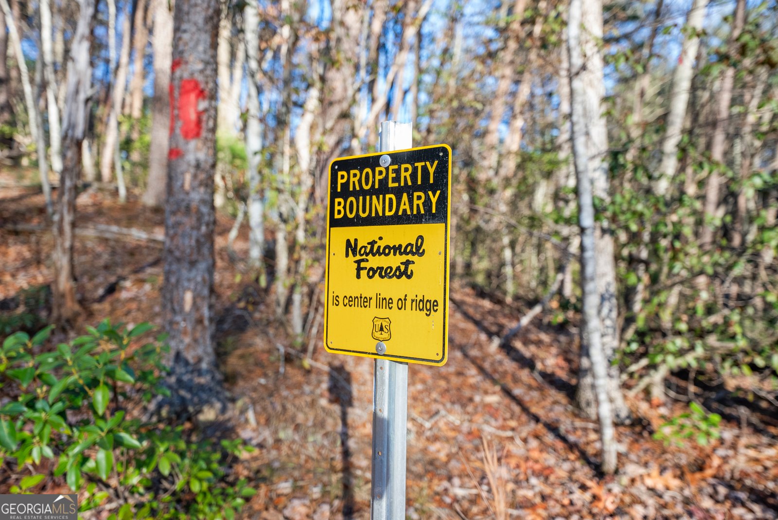 121 Waterfalls Way Clarkesville - Photo 52