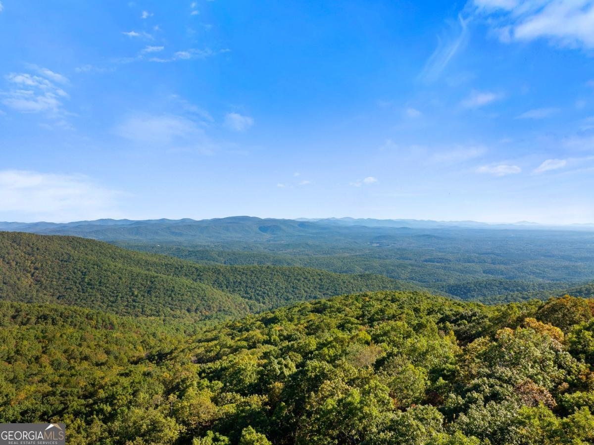 1319 Deer Run Ridge Jasper - Photo 58