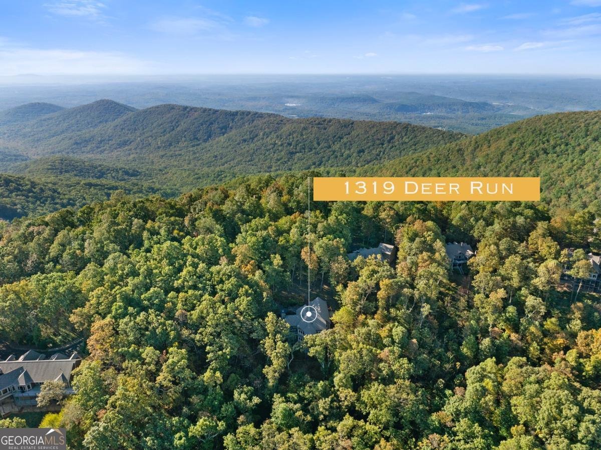 1319 Deer Run Ridge Jasper - Photo 59