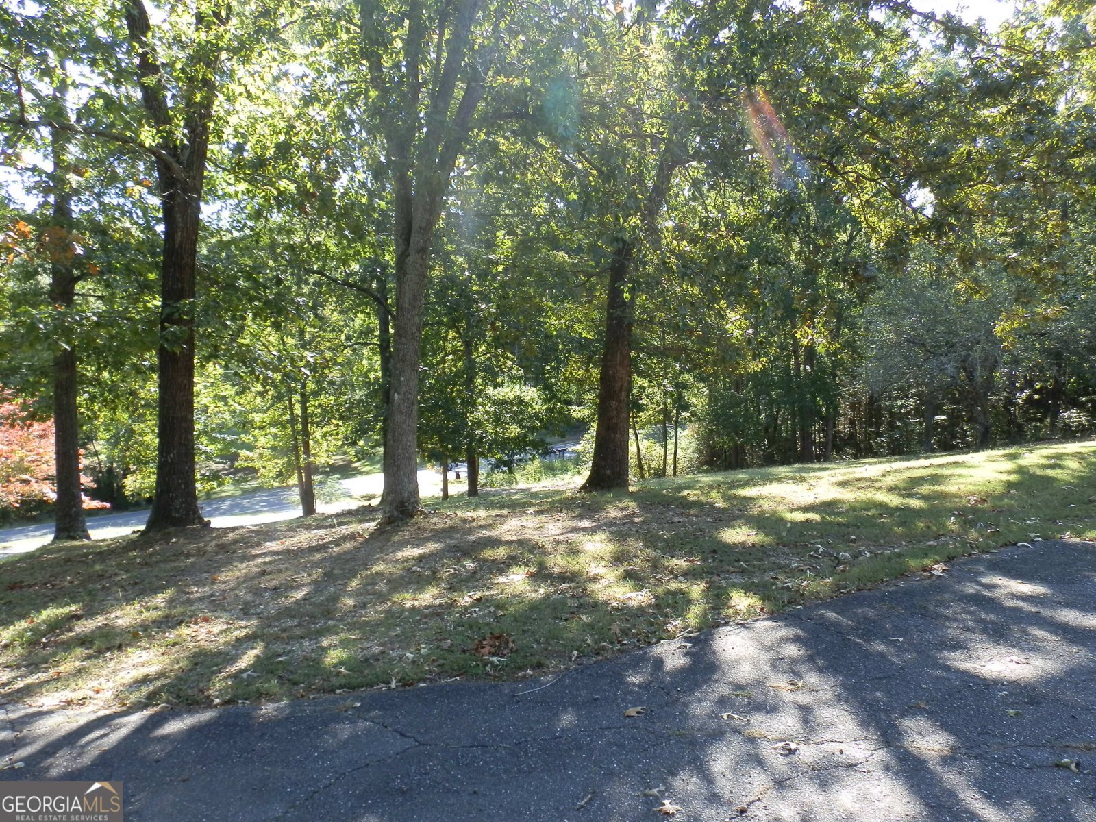 3365 Crider Road Rocky Face - Photo 34