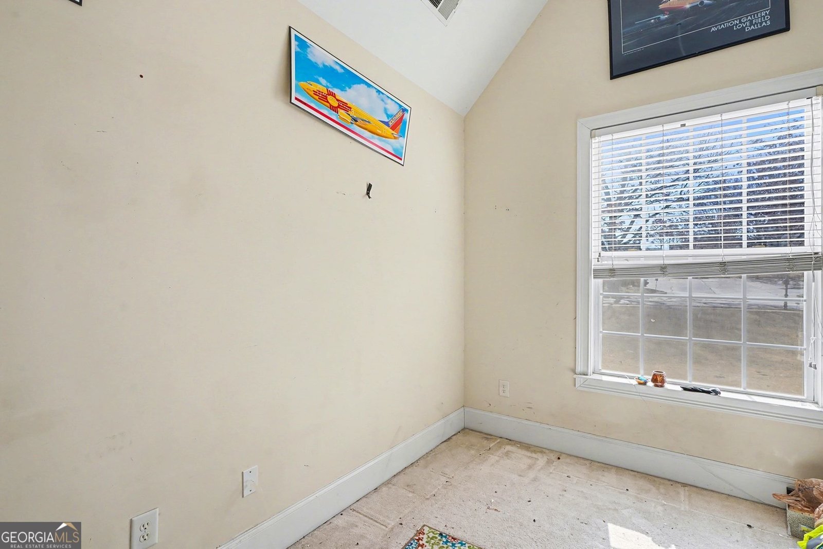 437 Grandiflora Drive Mcdonough - Photo 43