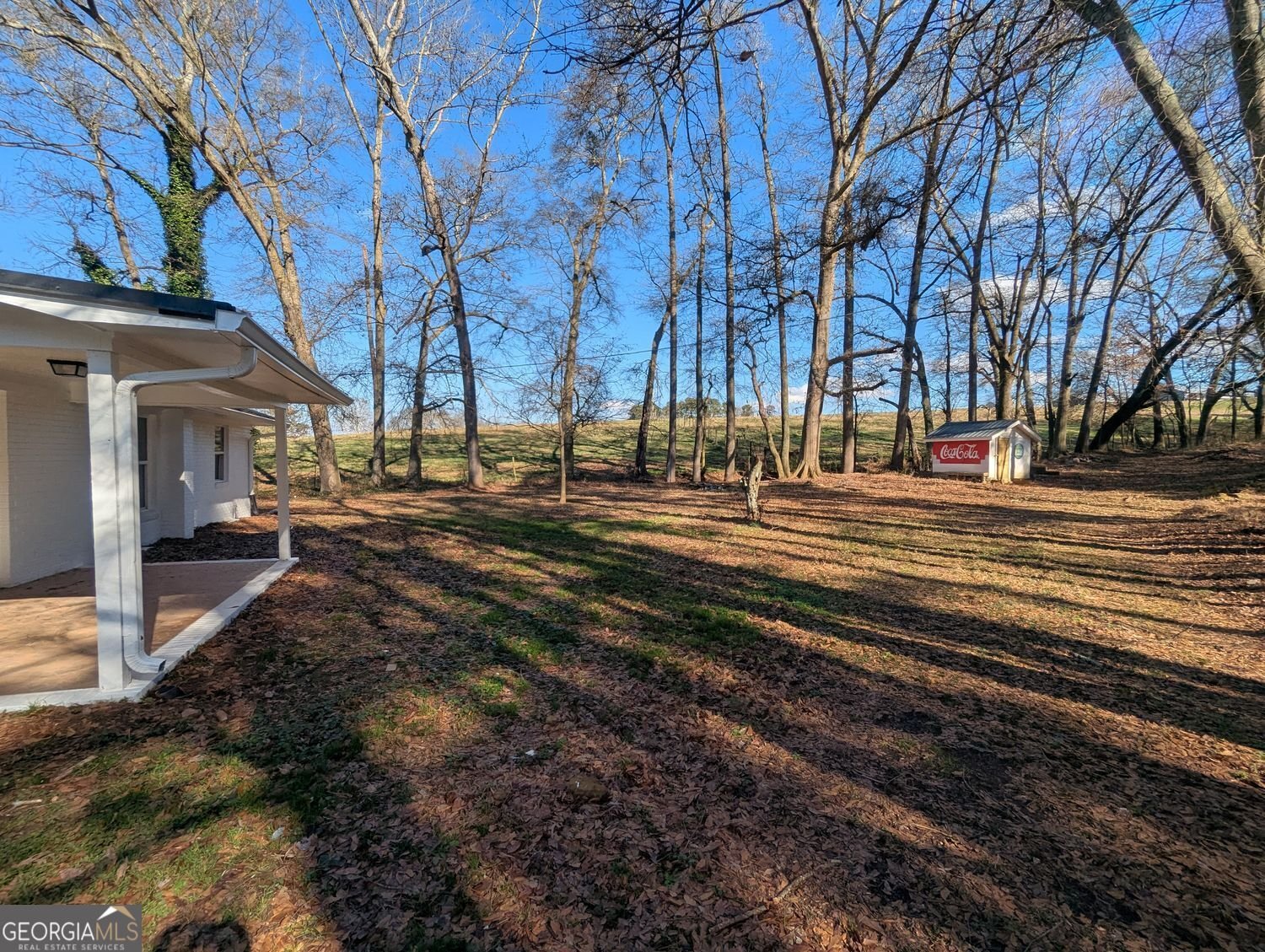 2864 GA-100 Bowdon - Photo 19