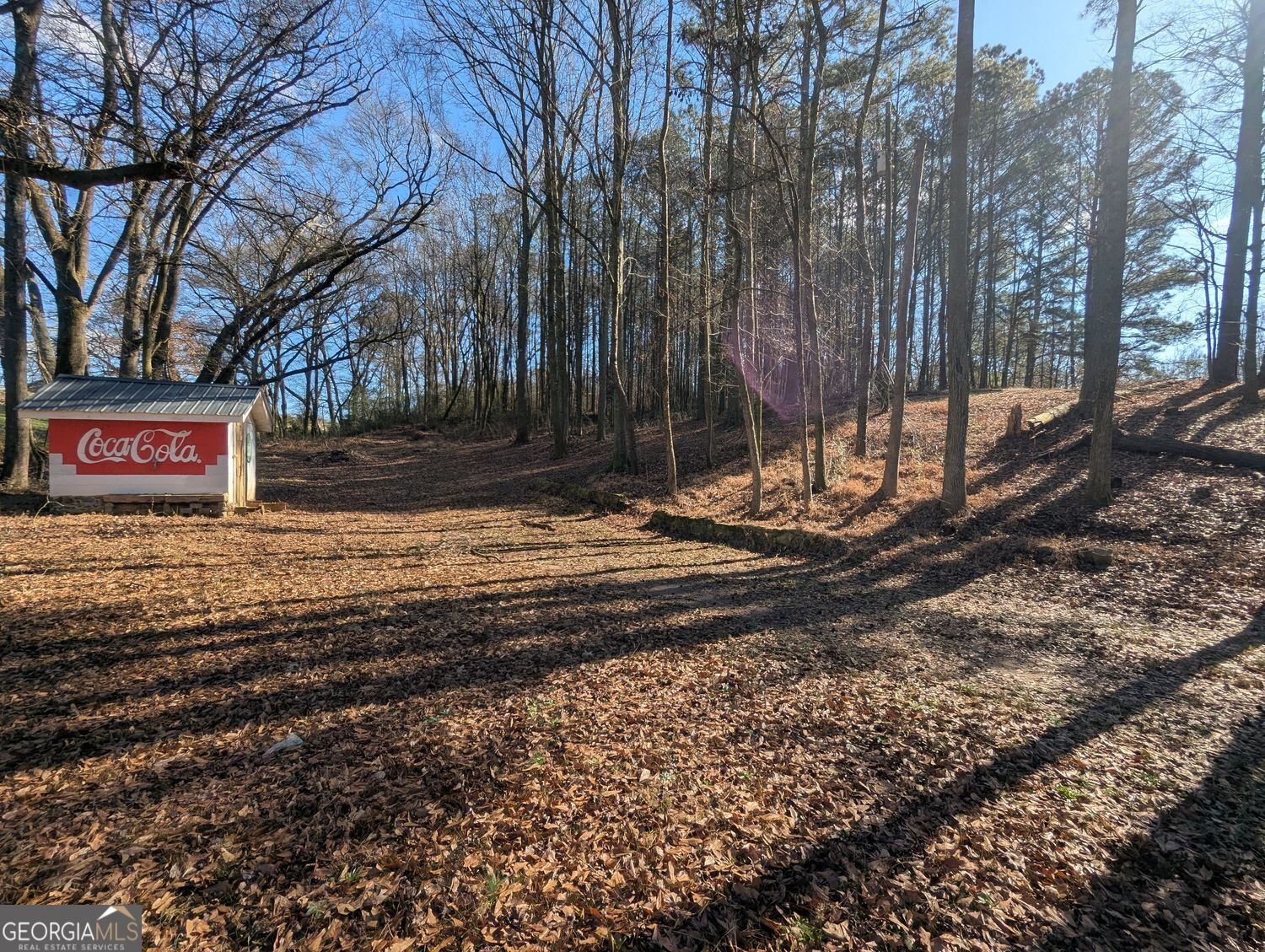 2864 GA-100 Bowdon - Photo 20