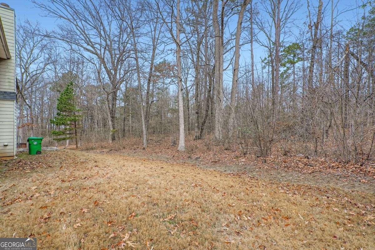 5861 Fairington Farms Lane Lithonia - Photo 25