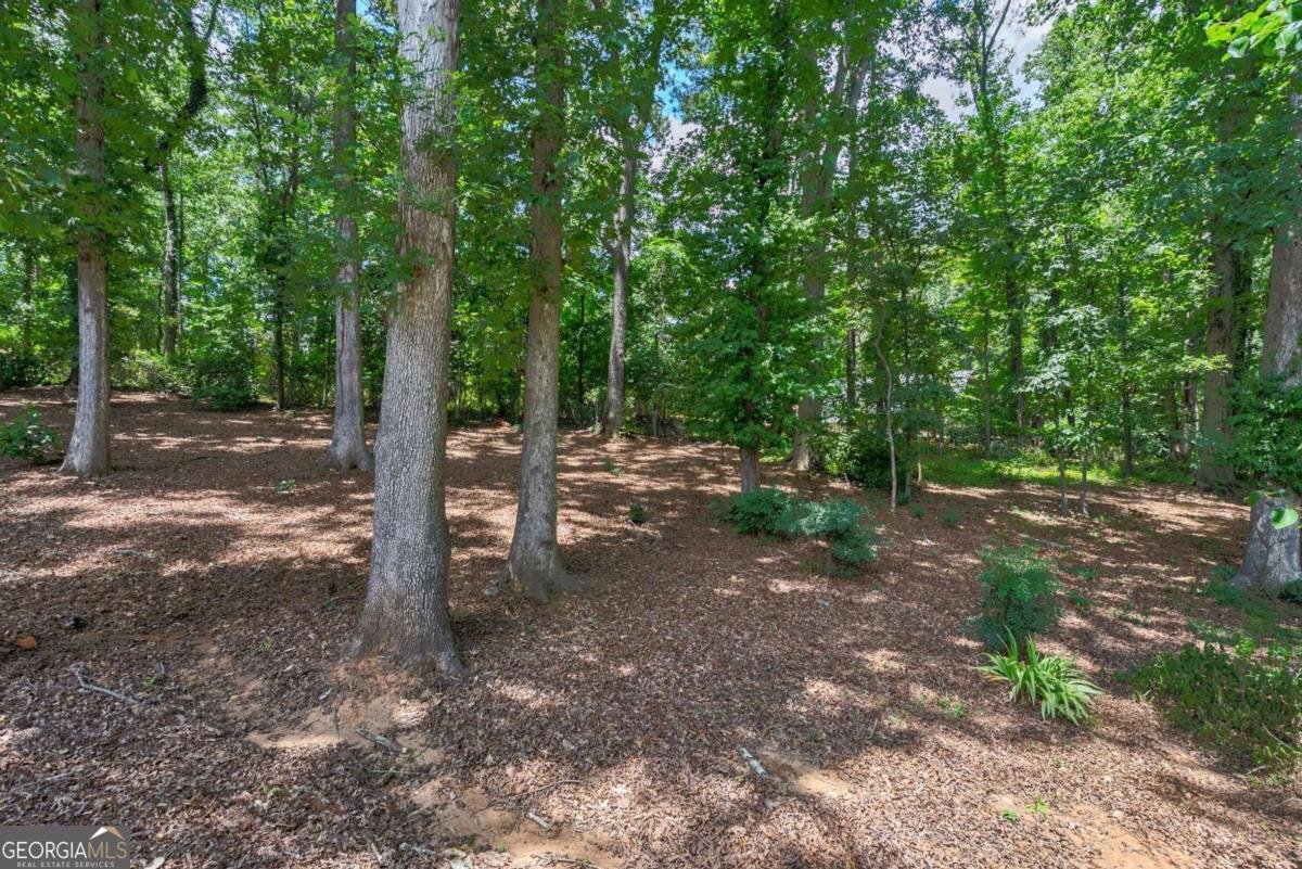 1291 Millstone Run Watkinsville - Photo 71