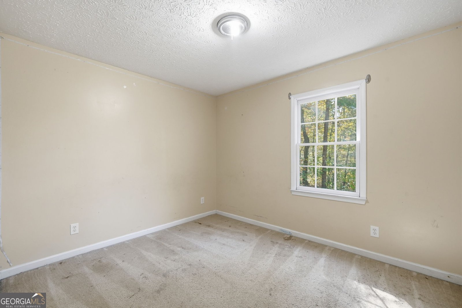 314 Calusa Place Ball Ground - Photo 22