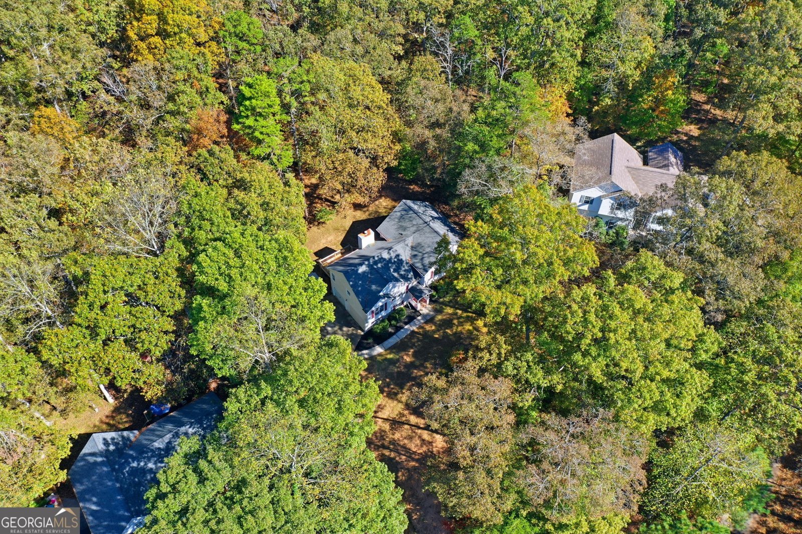 314 Calusa Place Ball Ground - Photo 40