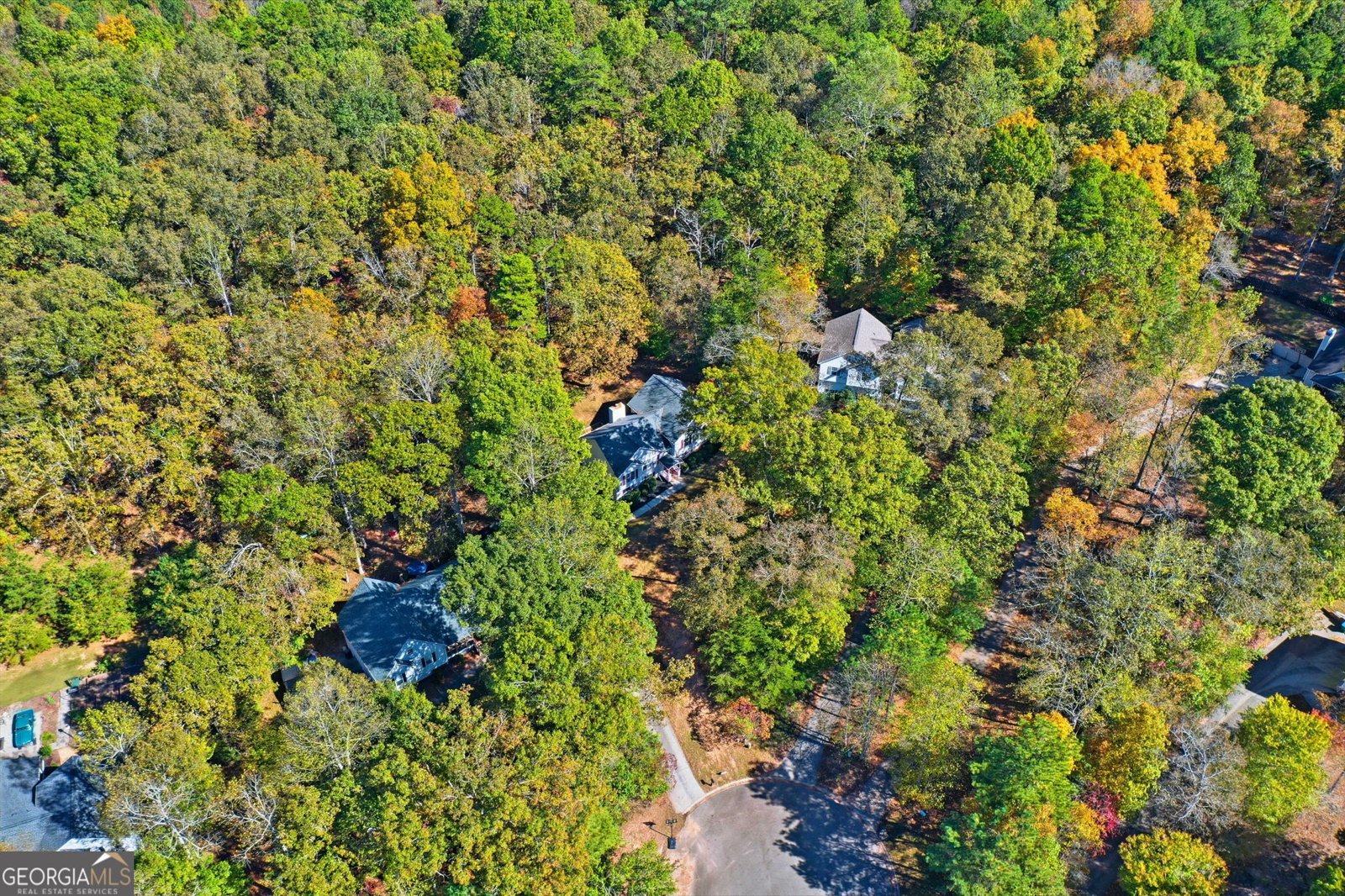 314 Calusa Place Ball Ground - Photo 41