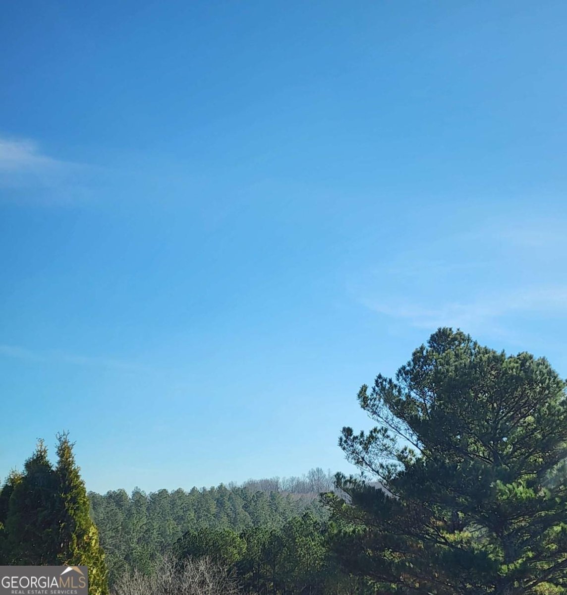 30 Westover Ridge Adairsville - Photo 12