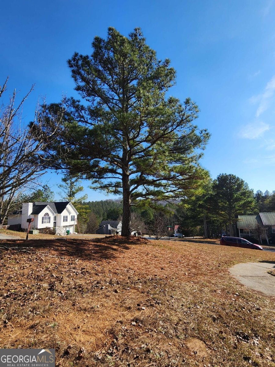 30 Westover Ridge Adairsville - Photo 47