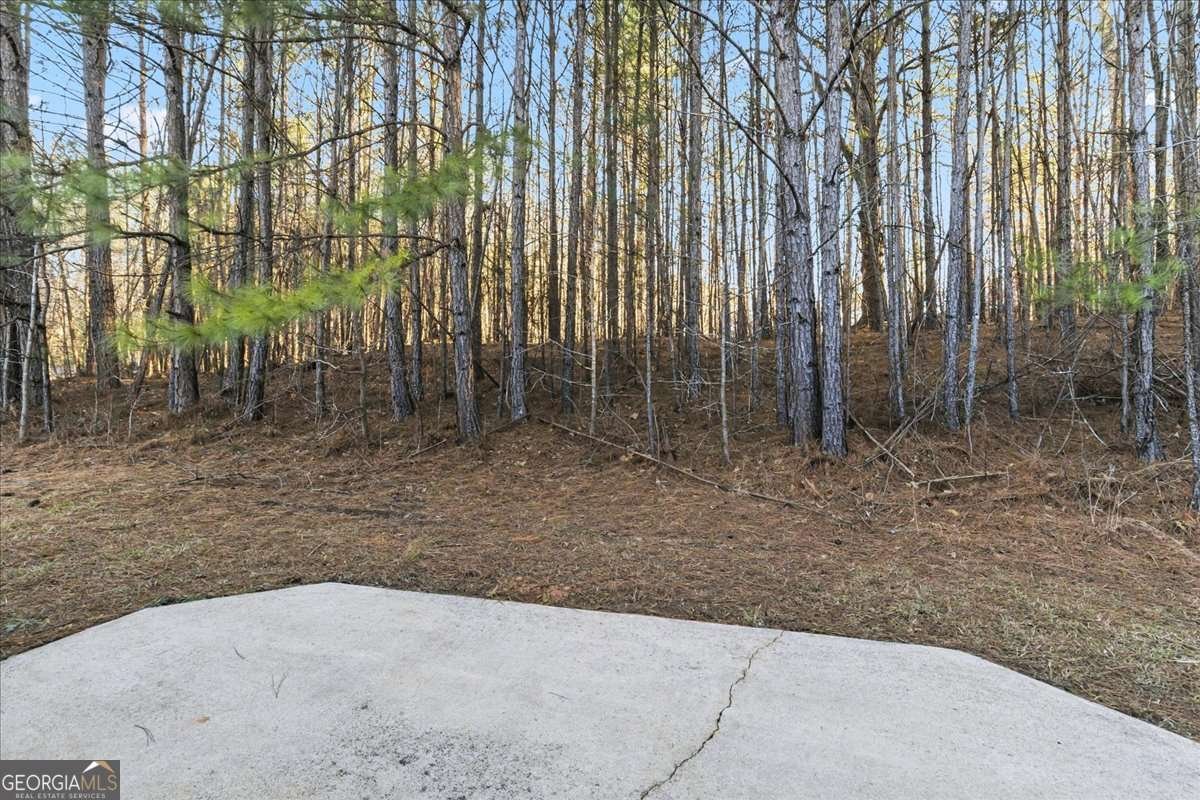 2116 Grand Gleaton Pass Conyers - Photo 26