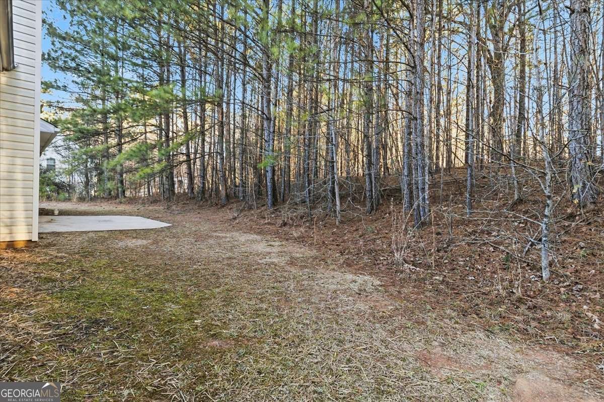 2116 Grand Gleaton Pass Conyers - Photo 28