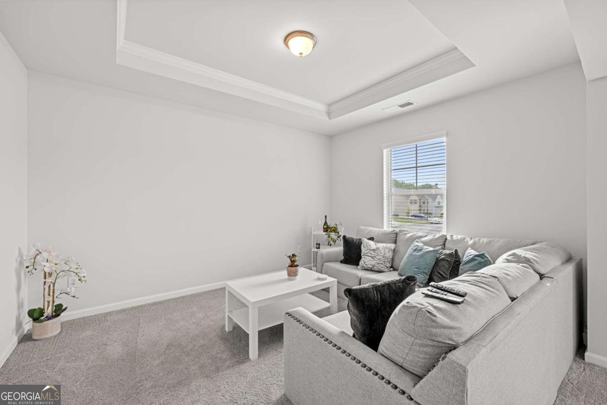 116 Eleanora Park Loganville - Photo 26