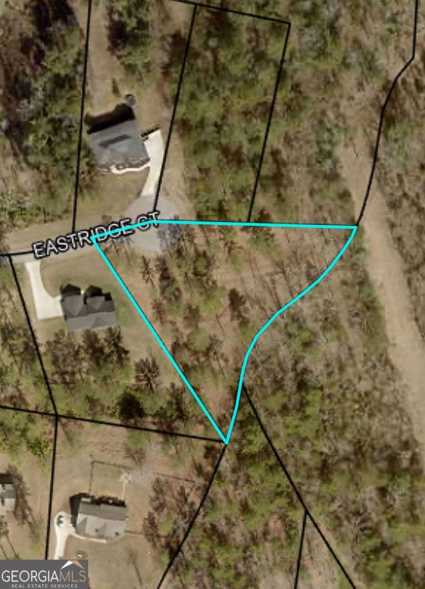 284 Eastridge Court Blairsville - Photo 76