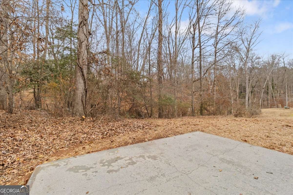 1054 Falls Brooke Drive Conyers - Photo 40