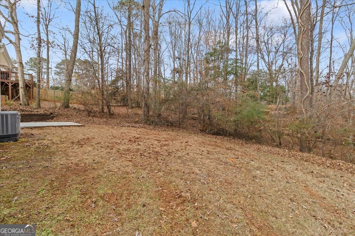 1054 Falls Brooke Drive Conyers - Photo 42