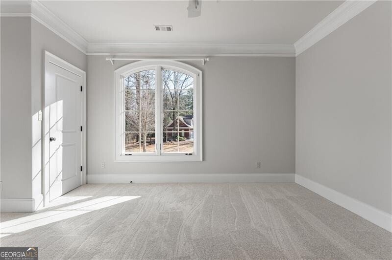 118 Whitestone Drive McDonough - Photo 41