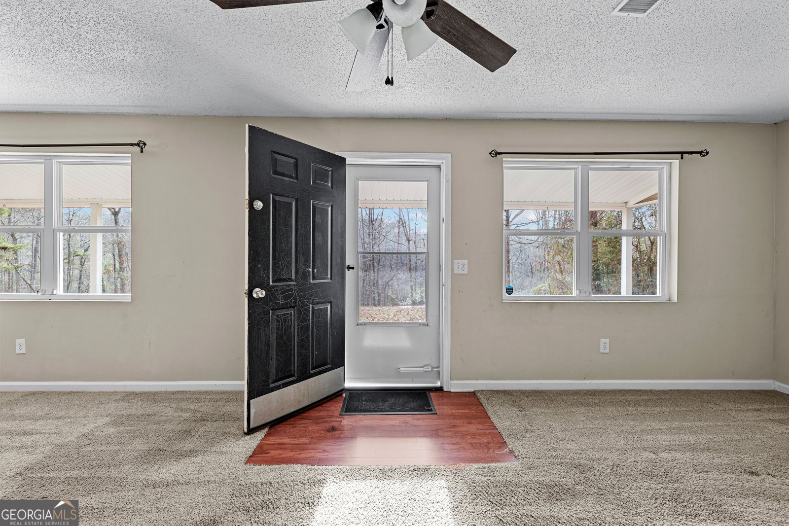 247 Tinica Way Newnan - Photo 12