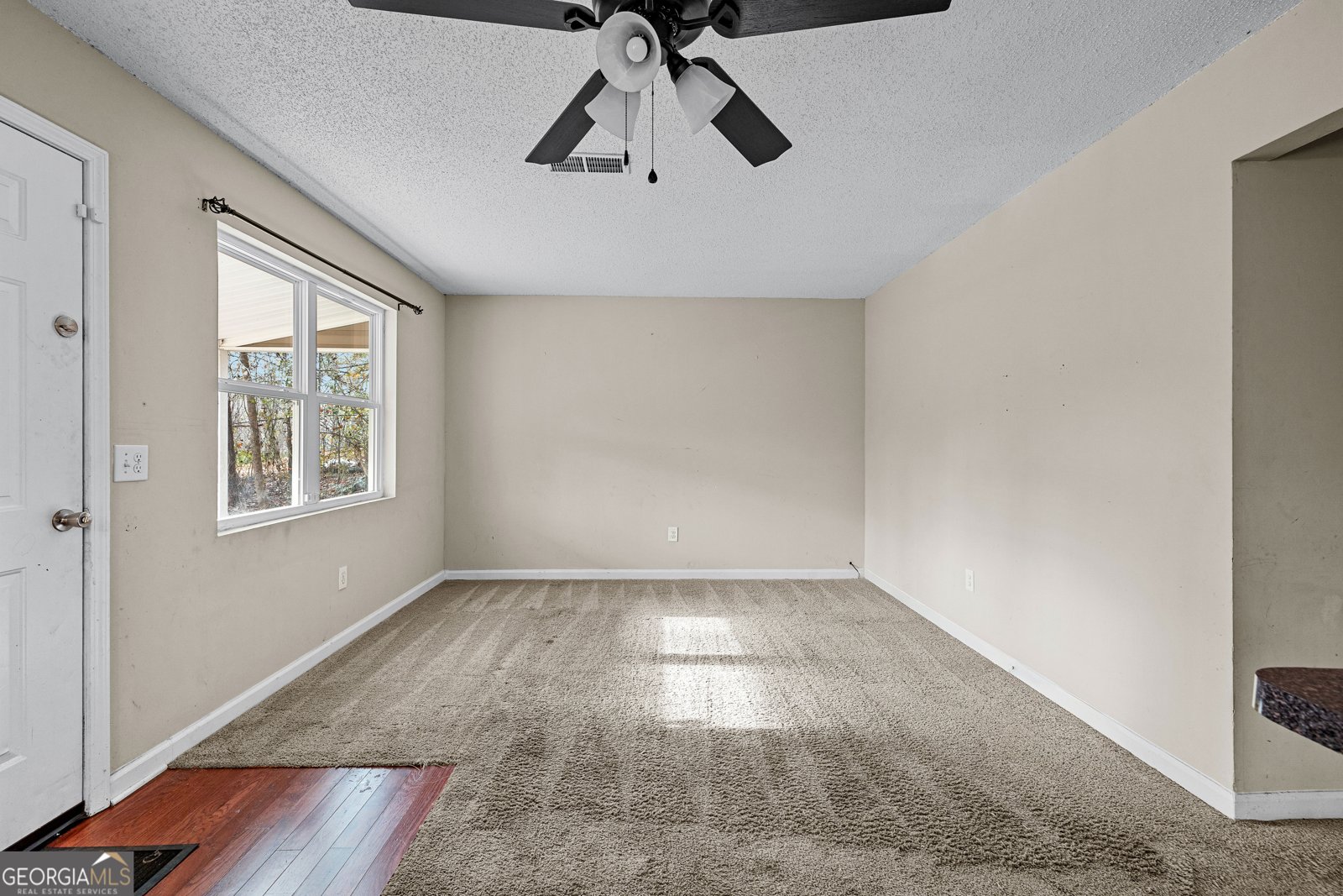 247 Tinica Way Newnan - Photo 14