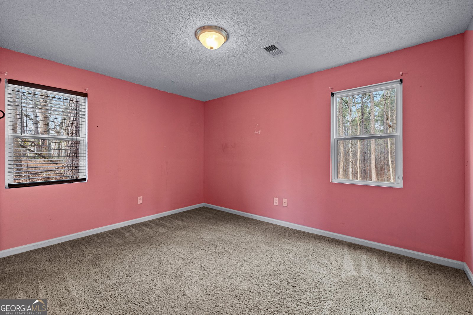 247 Tinica Way Newnan - Photo 21