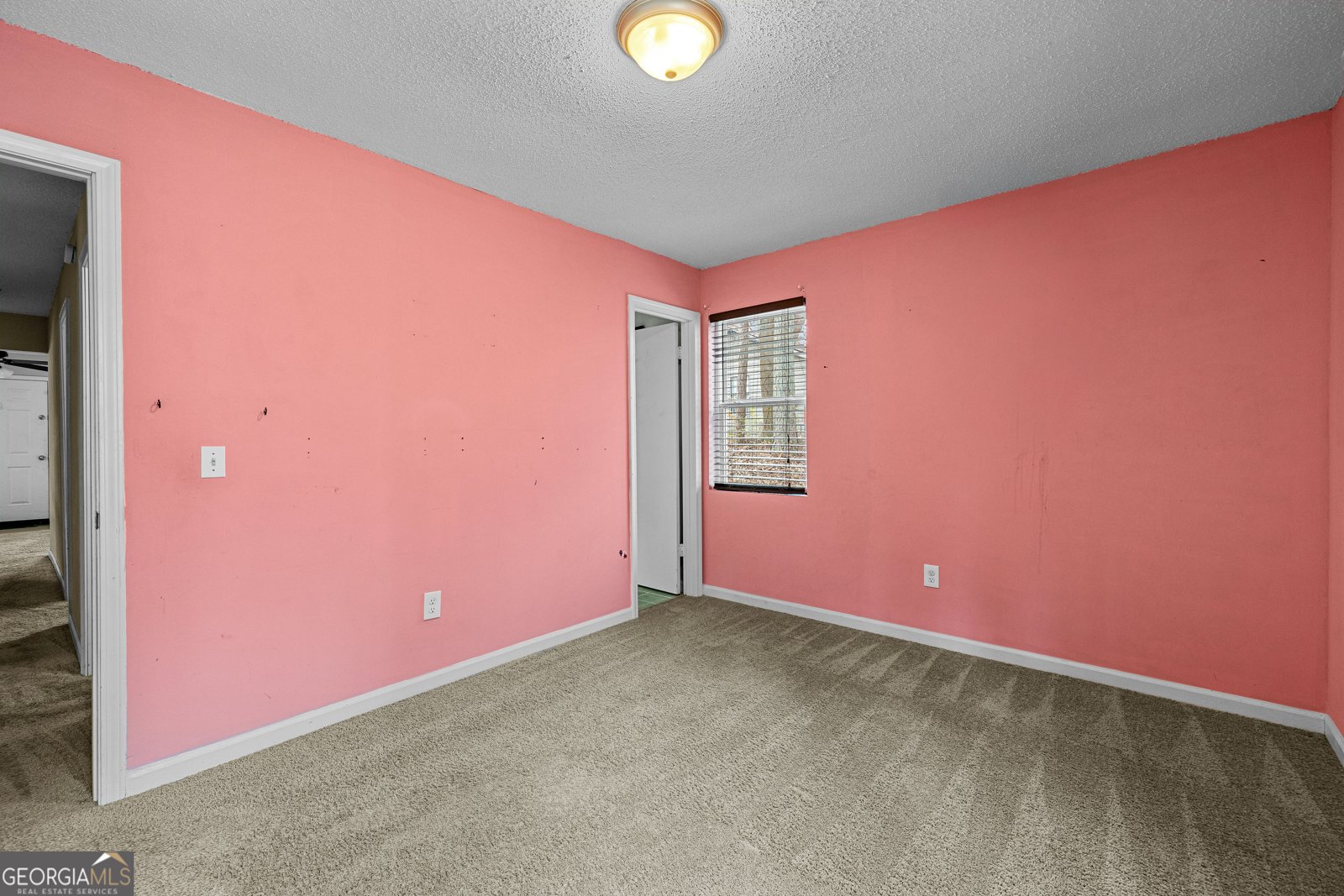 247 Tinica Way Newnan - Photo 31