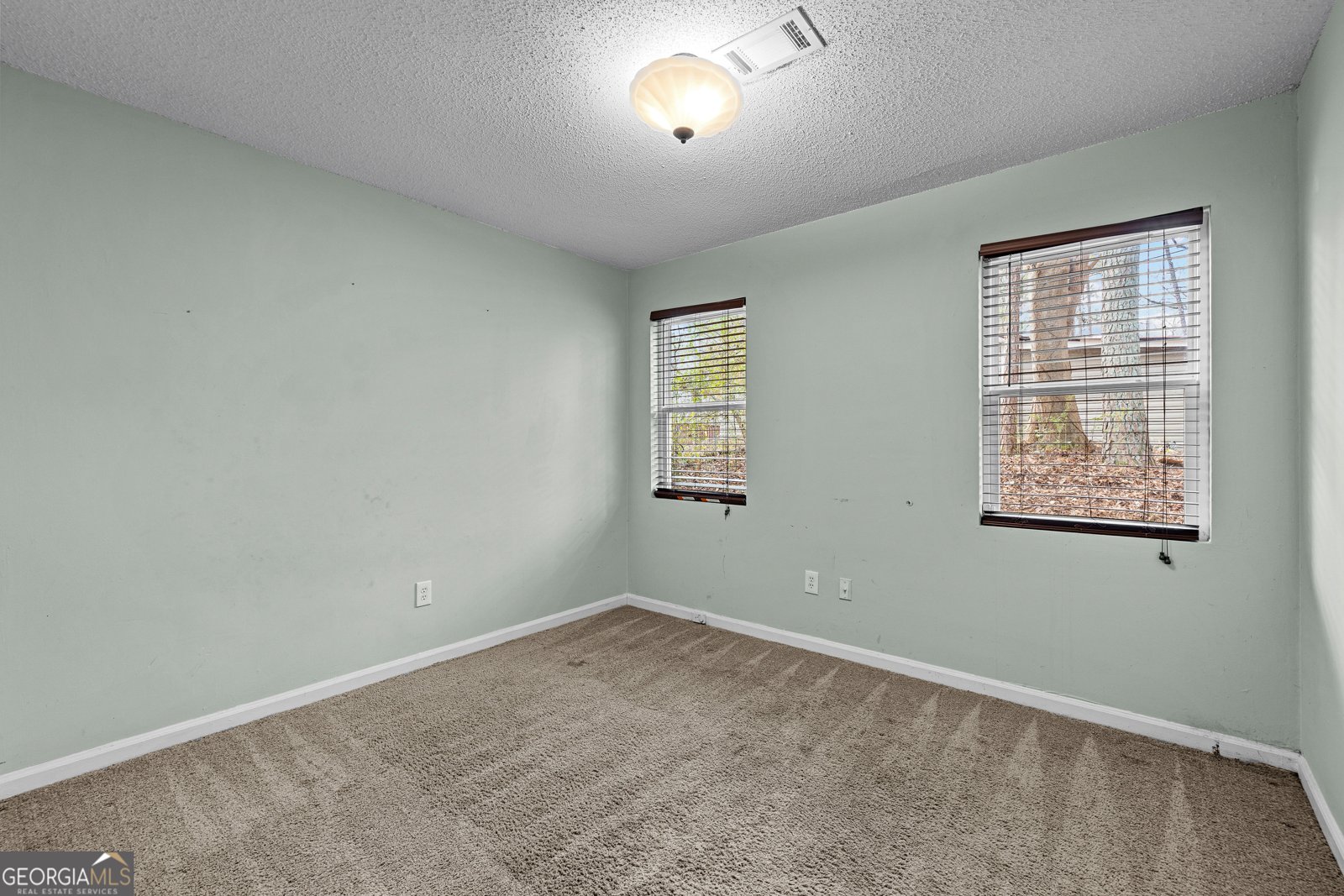 247 Tinica Way Newnan - Photo 33