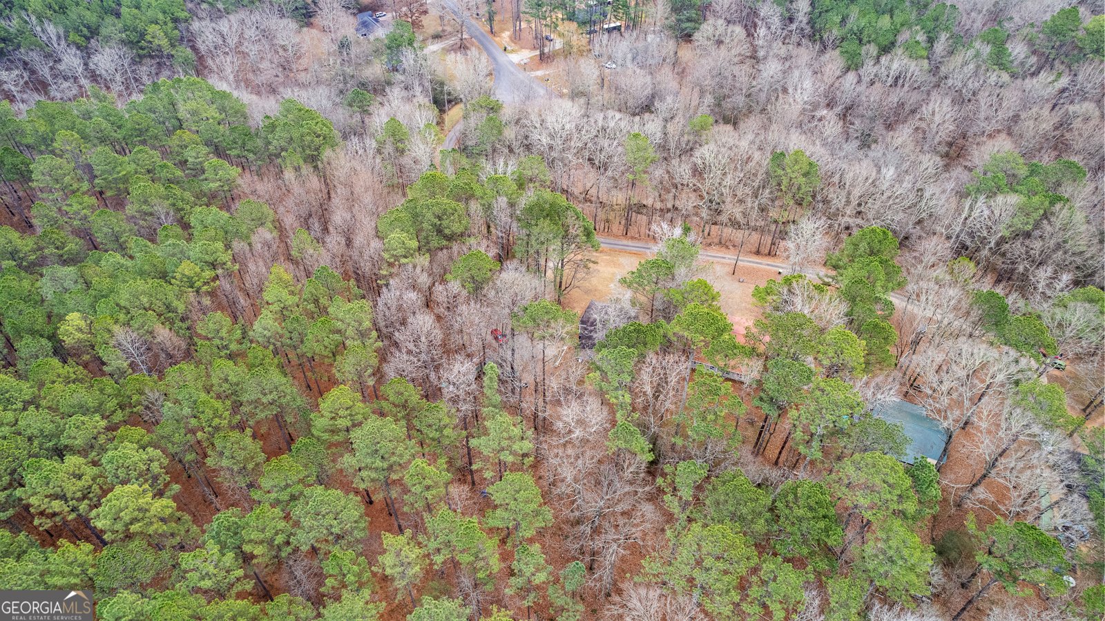 247 Tinica Way Newnan - Photo 43